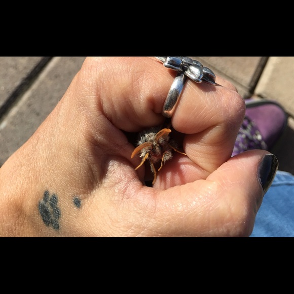 Hi - Picture 8 of 13